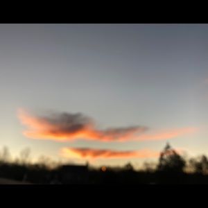 Meet your Posher, Celeste